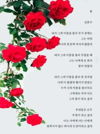 봄 시 모음 이해인 나태주 명시 모음_14