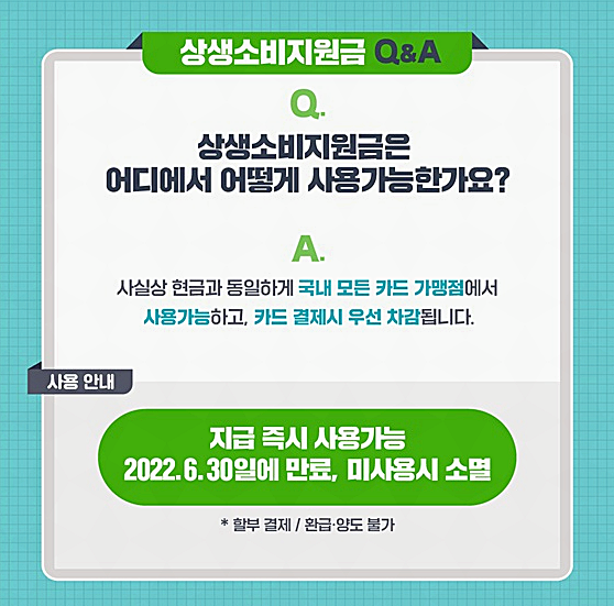 상생 소비지원금 사용처