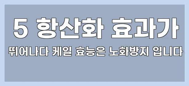  5 항산화 효과가 뛰어나다 케일 효능은 노화방지 입니다