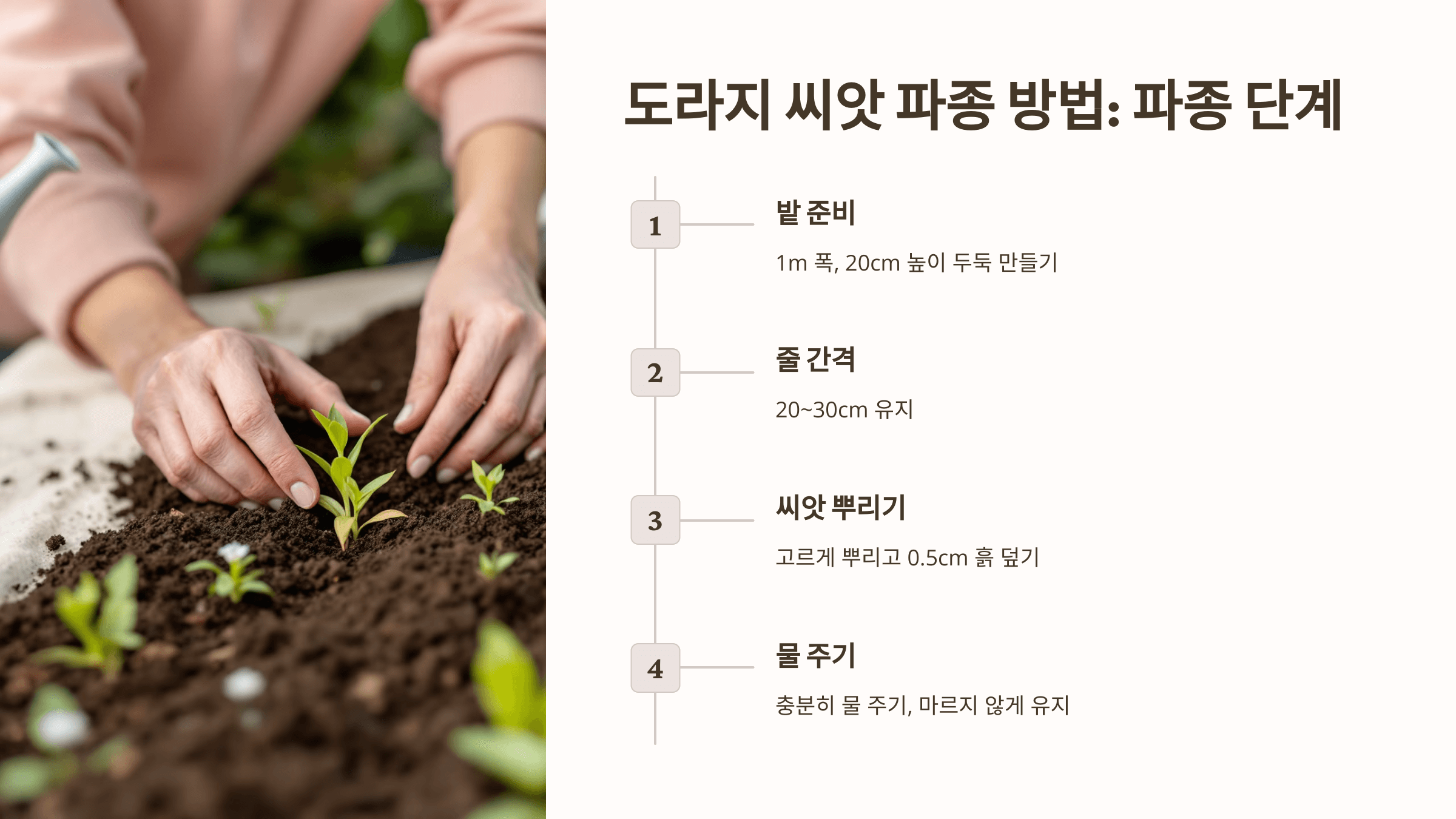 도라지 사진입니다.