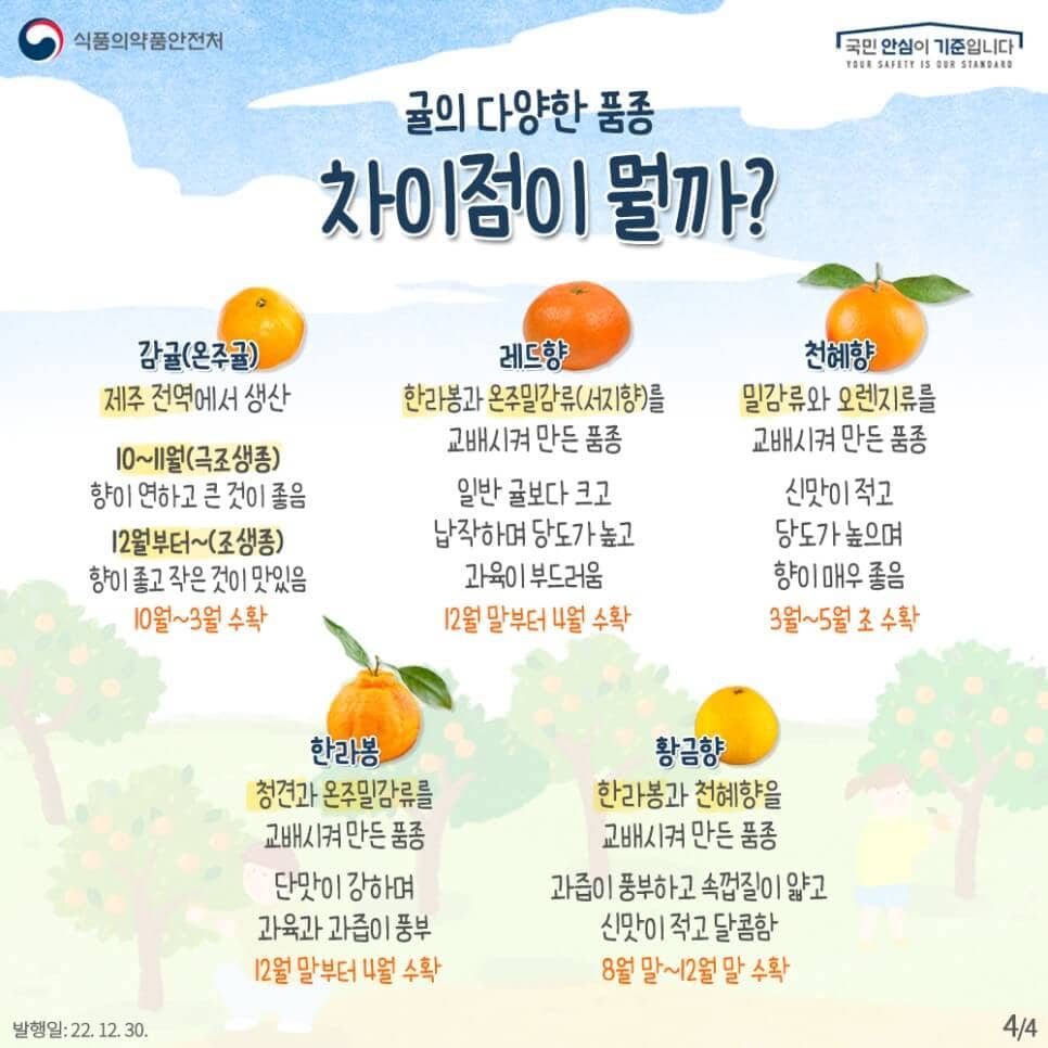 귤의 품종 (출처 : 식품의약품안전처)