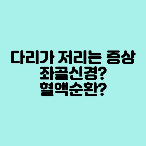 다리가 저리는 증상 좌골신경? 혈액순환?