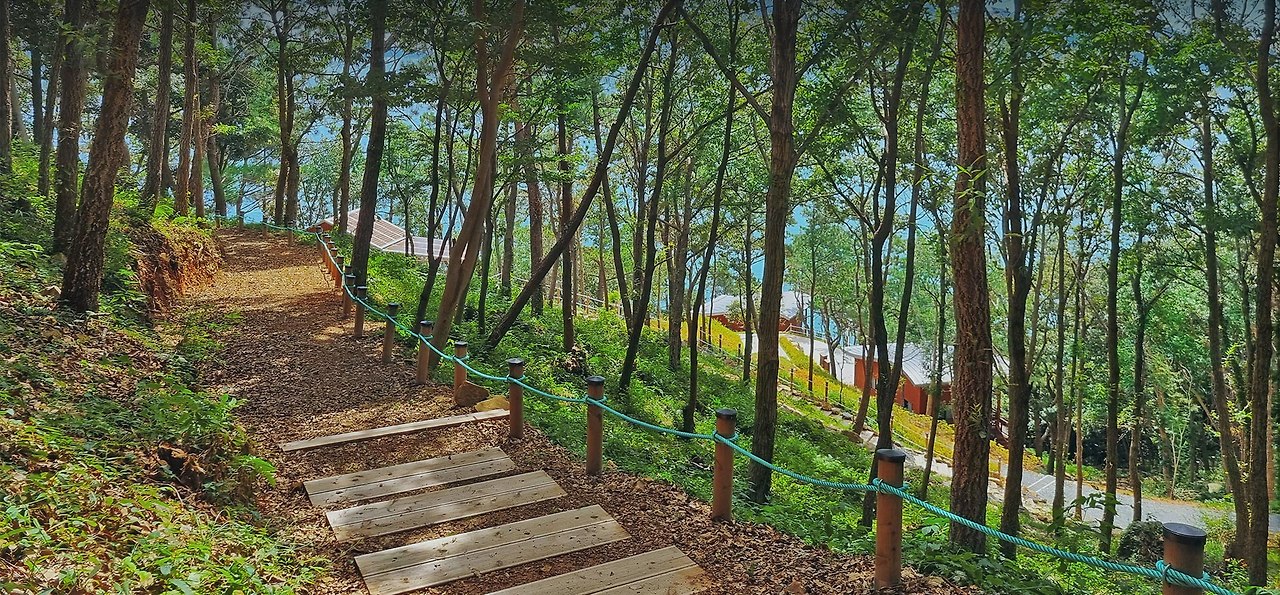 6시 내고향 완도편 총정리