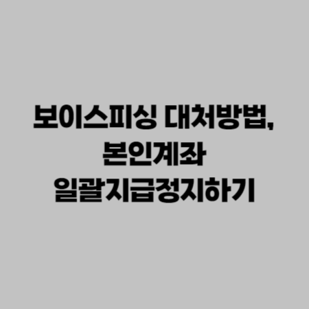 보이스피싱 대처방법&#44; 본인계좌 일괄지급정지하기