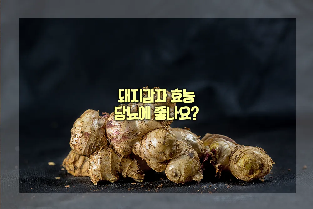 돼지감자 효능 당뇨 도움