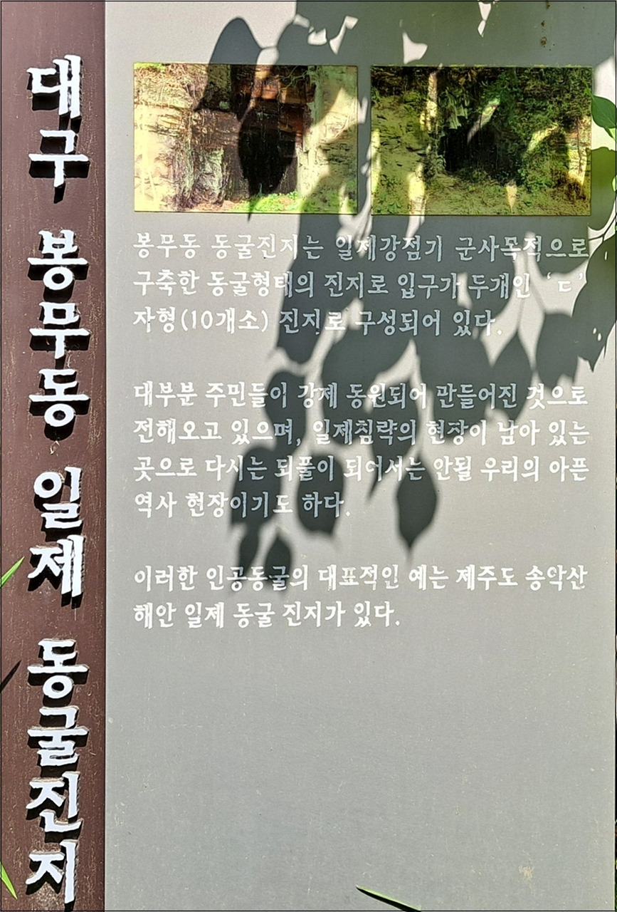 도동힐링 이미지