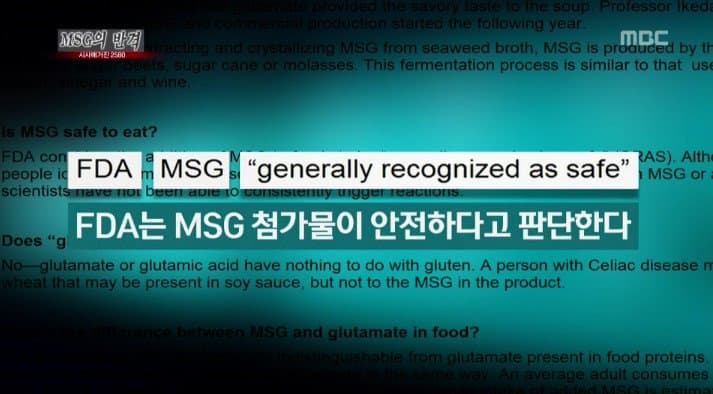 MSG 유해성 논란 정리