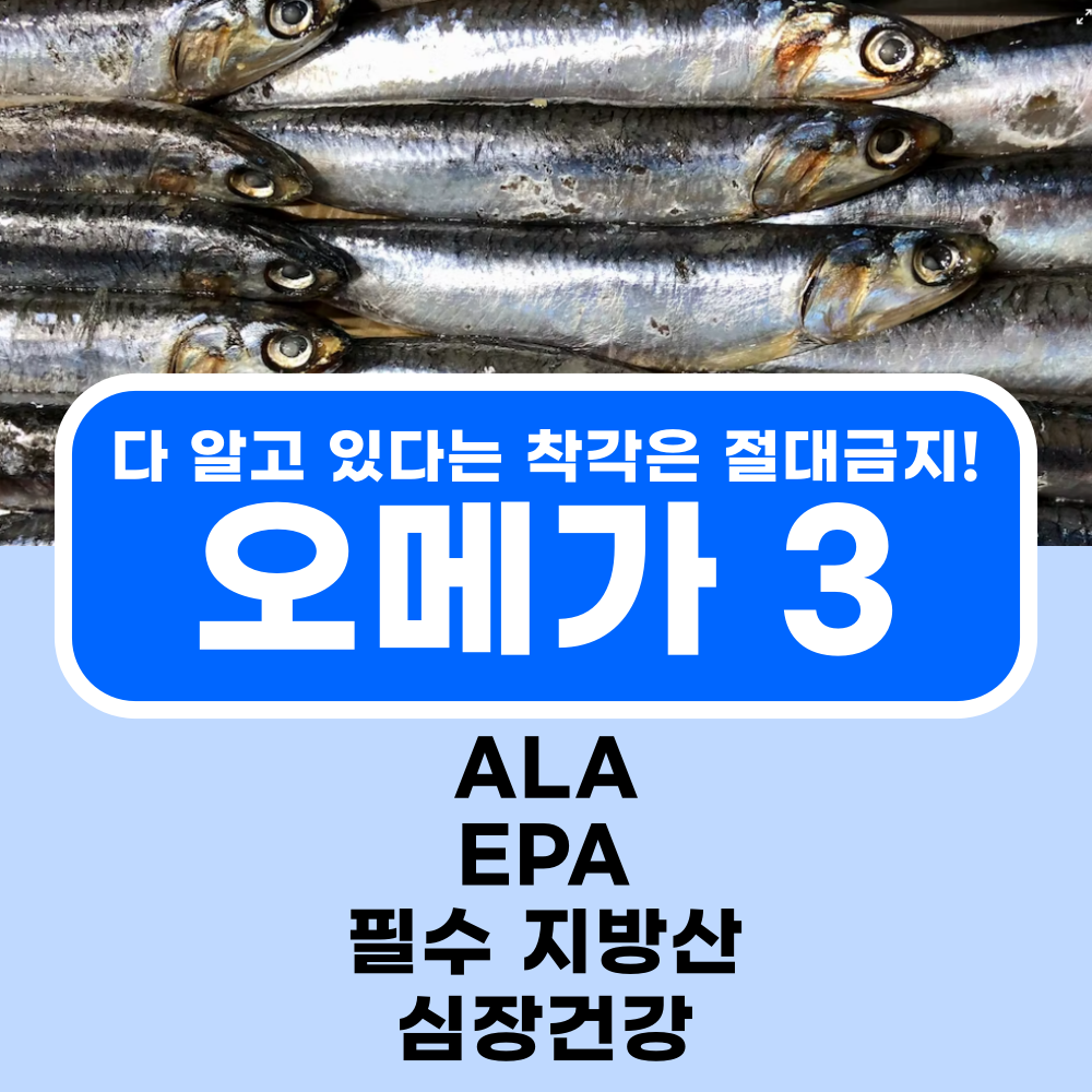  오메가 3, 이런 효능까지? 함유된 음식과 부작용 및 세계 판매량 탑4 제품 비교 추천