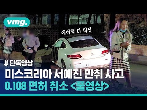  법원, 음주 운전 미스코리아 출신 방송인에 벌금 700만원 벤츠 만취운전 서예진 인스타그램 비디오머그 유튜브 사고 영상 강남구 양재천로 술에 취해 벤츠 승용차 가로수 두 차례 받은 혐의
