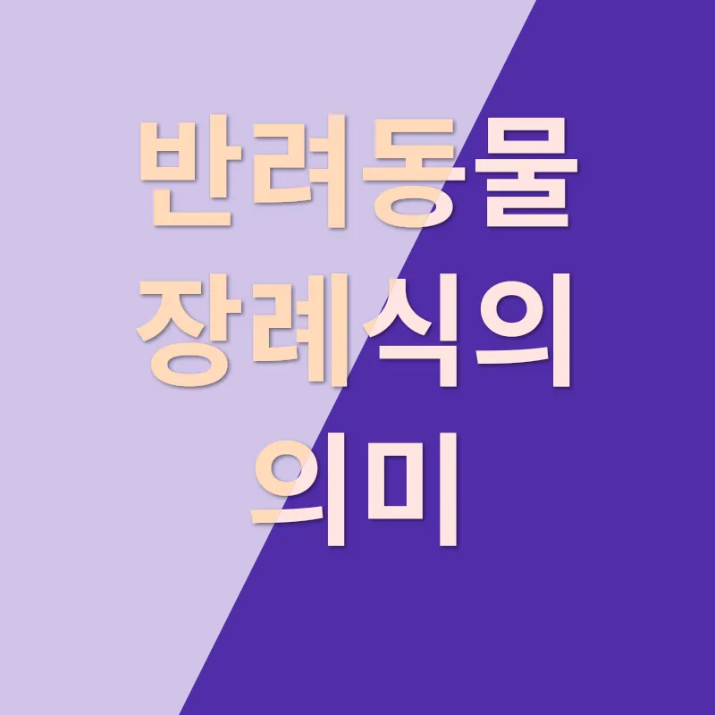 반려동물 장례_1