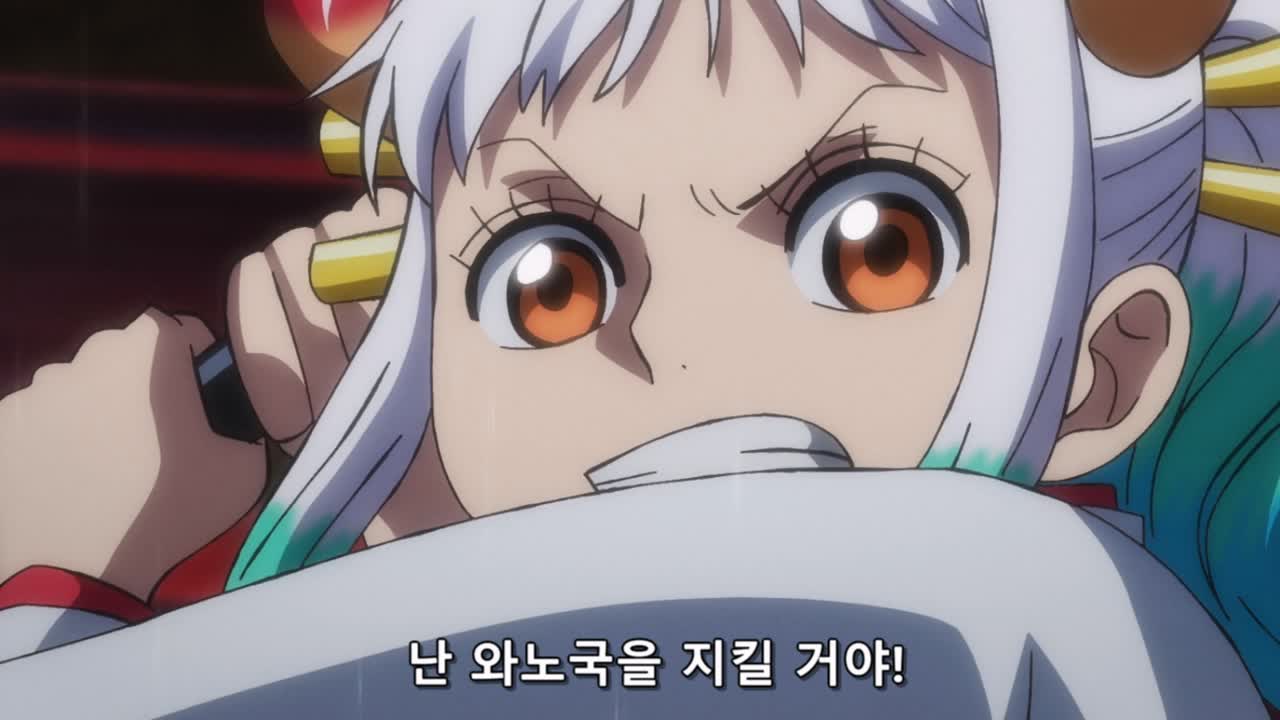  원피스 1048화 애니 자막 포함 리뷰