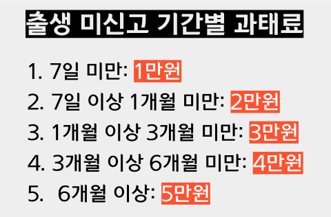 출생신고 미실시된 기간별 과태료 금액