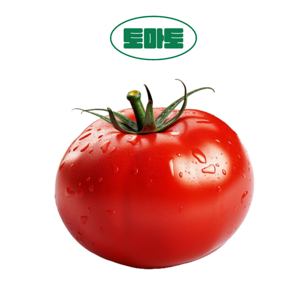 토마토-소개-사진