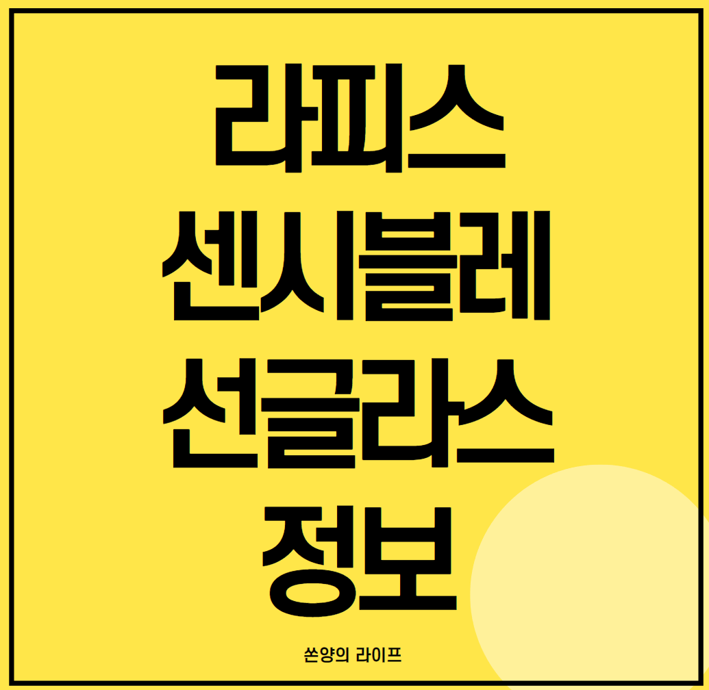 라피스 센시블레 선글라스