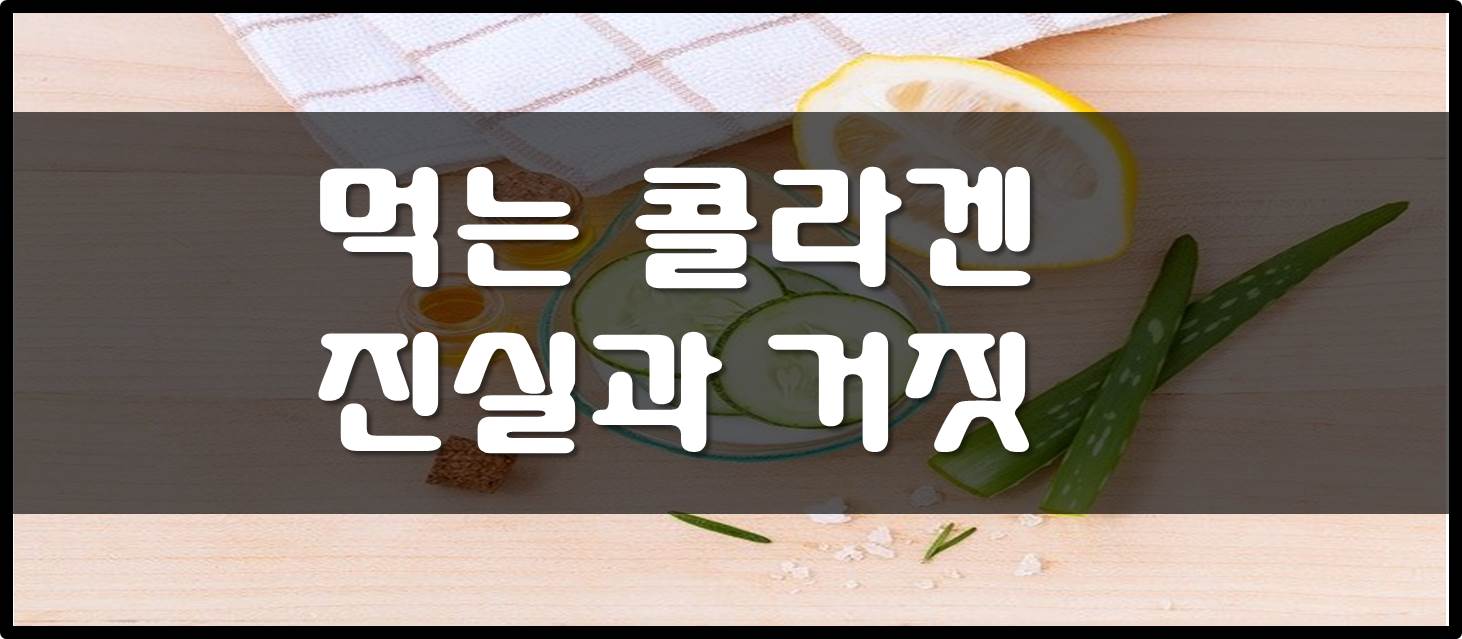  먹는 콜라겐 진실과 거짓