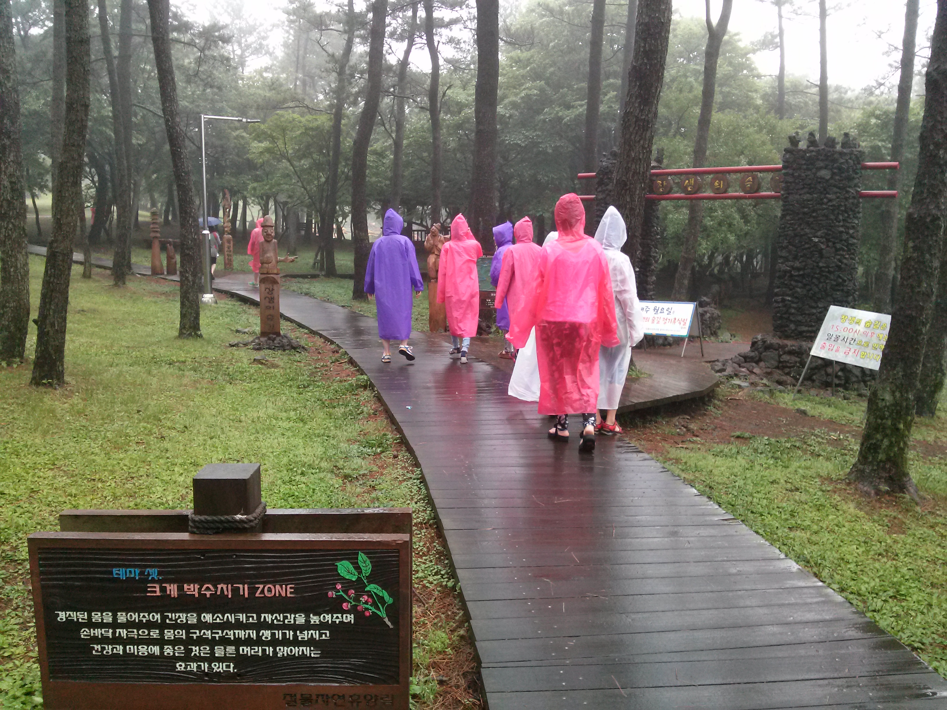 절물자연휴양림(Jeju Jeolmul Recreational Forest)