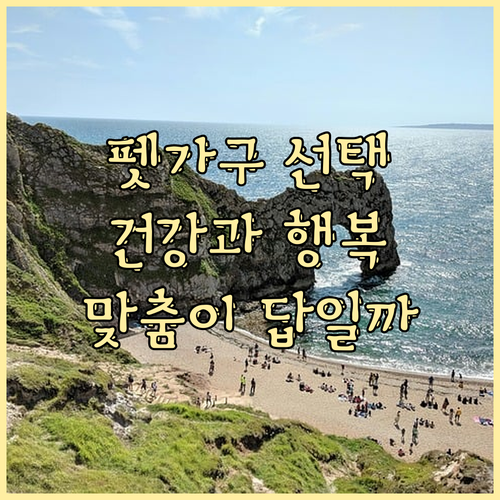 맞춤 펫가구, 반려동물 건강과 행복을