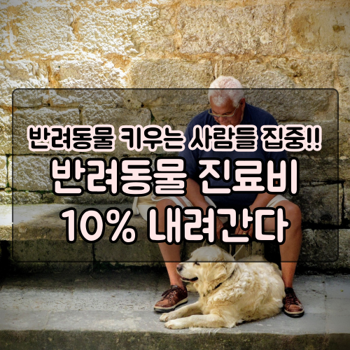  반려동물 진료비 10% 내려간다