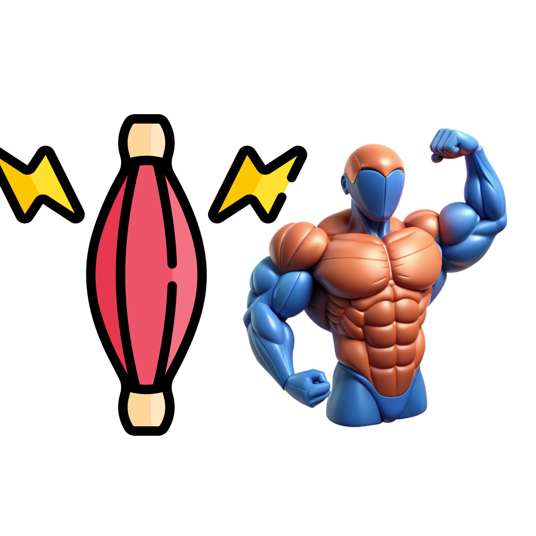 근육 그림