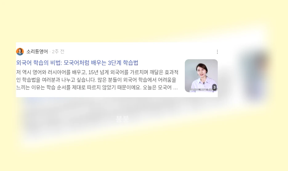 외국어 학습법_3_subsection