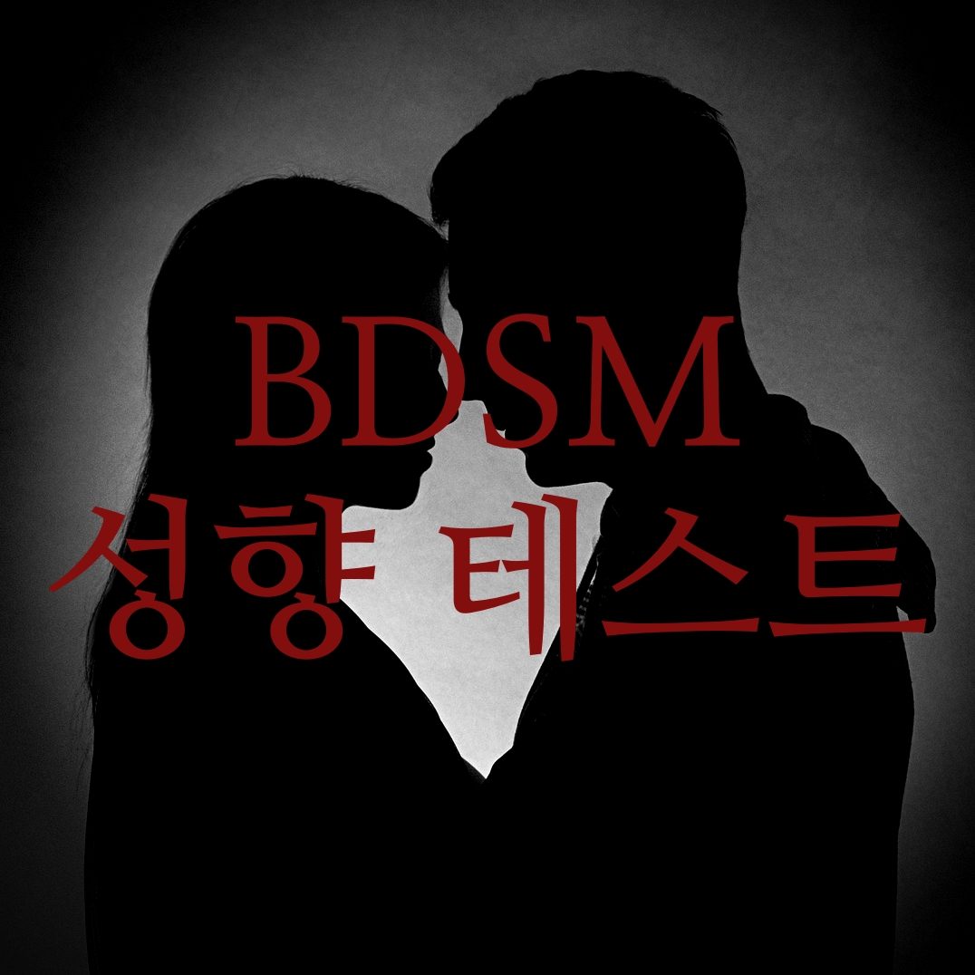  [BDSM 테스트] 뜻 & 성향 설명