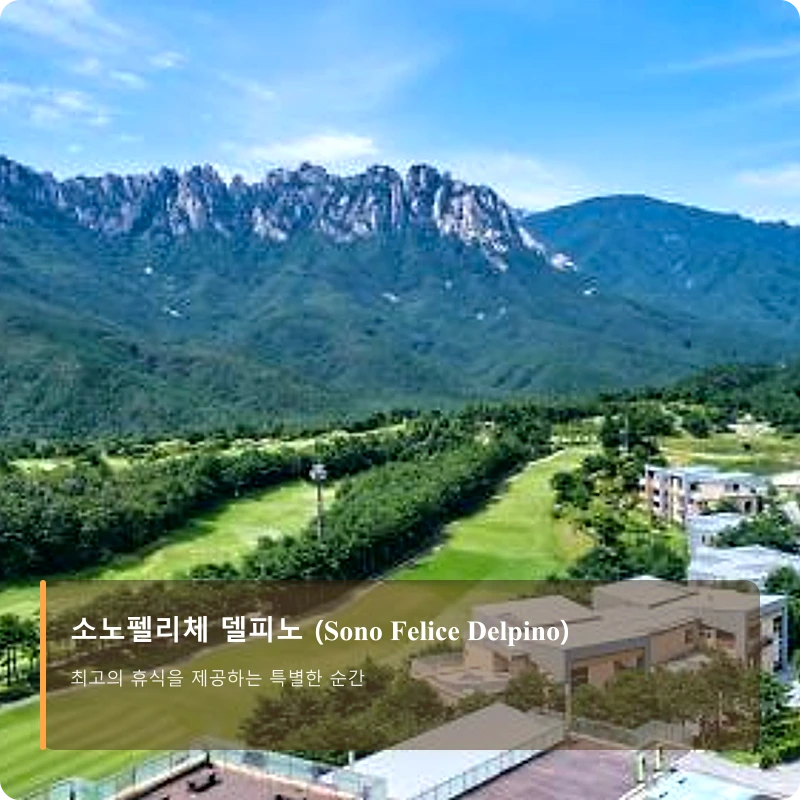 소노펠리체 델피노 (Sono Felice Delpino)_4