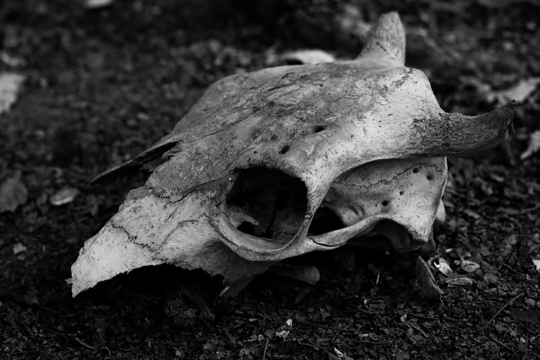 Mortality