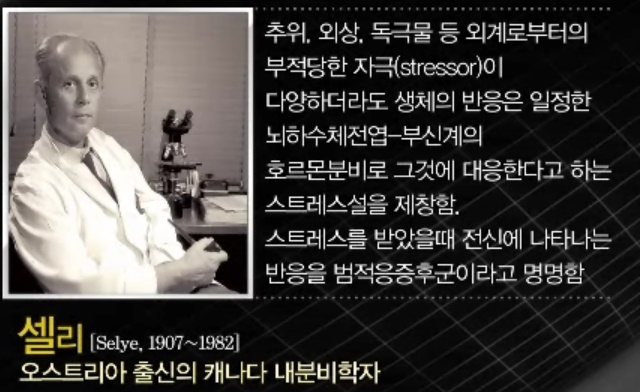  스트레스와 적응