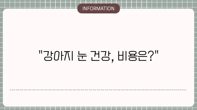 강아지 백내장 검사비용: 