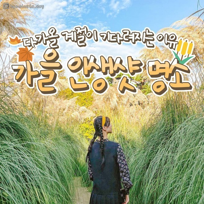  가을 인생샷 명소