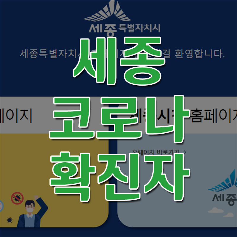  세종시 코로나 확진자 현황 및 동선