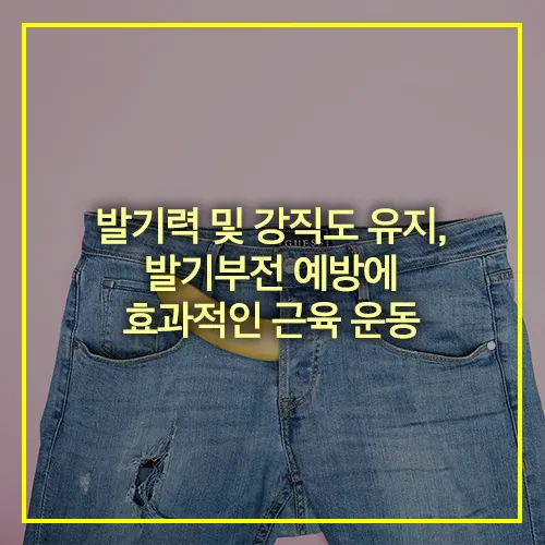 발기력 강직도 강화 운동