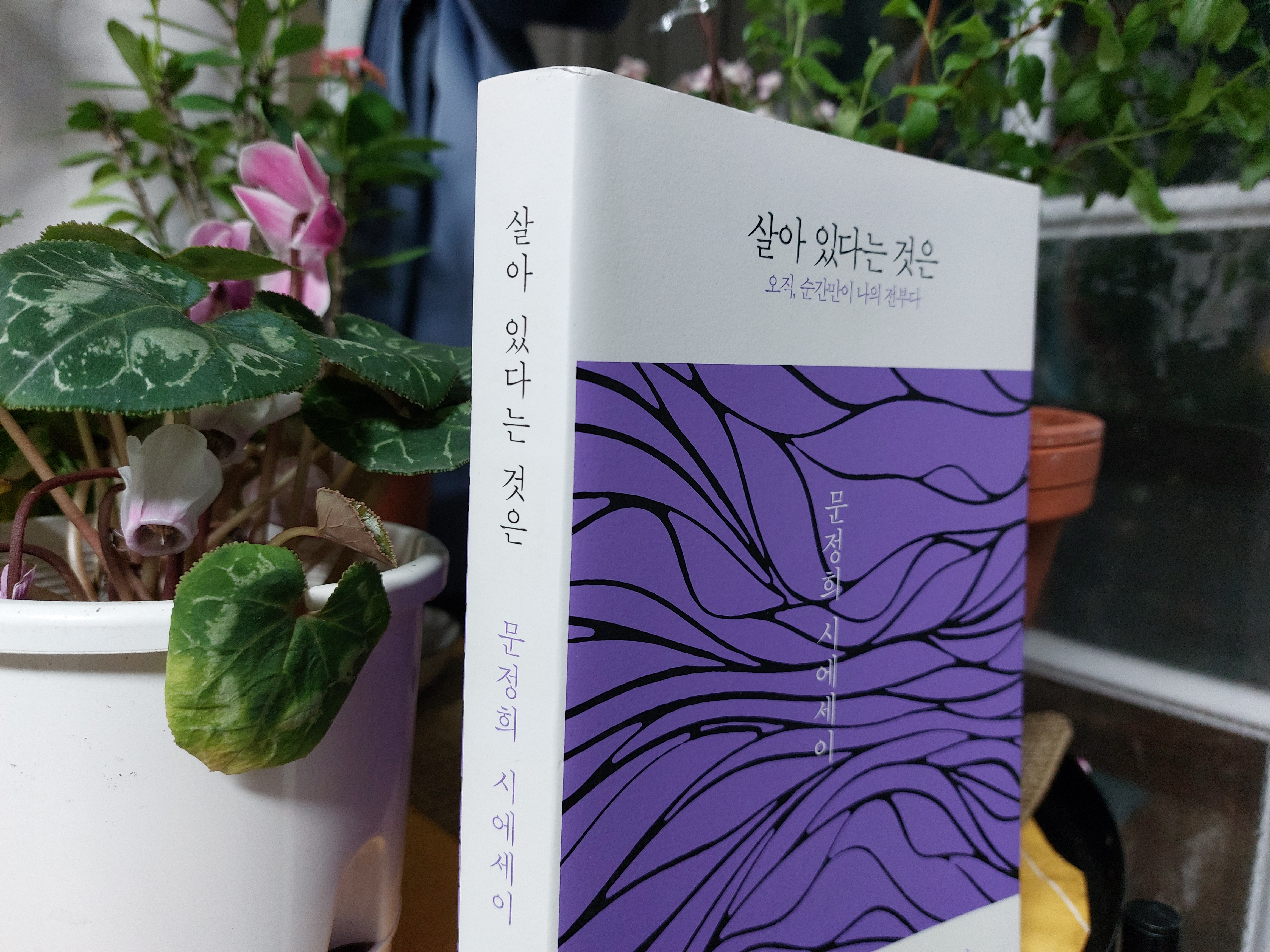  <시> 결혼 기차 문정희 시에세이