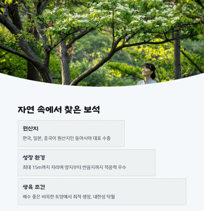 산딸나무