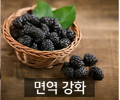 오디 효능