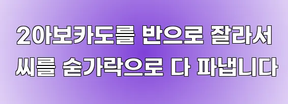  2아보카도를 반으로 잘라서 씨를 숟가락으로 다 파냅니다