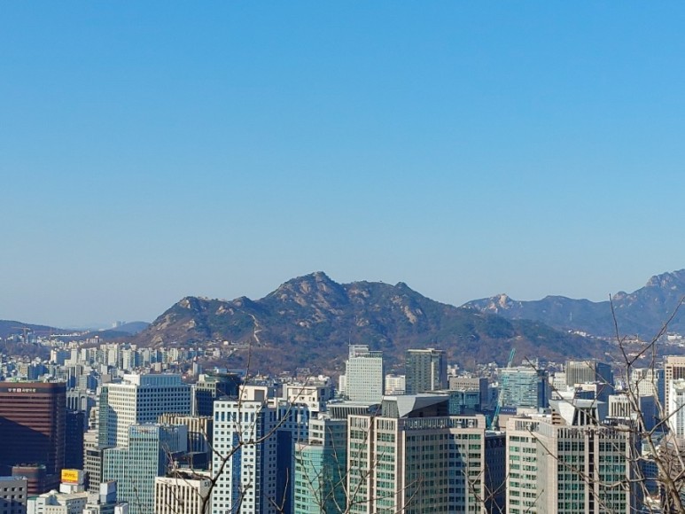 시티투어버스, 남산둘레길, 태극당, 광장시장, 청계천 빛축제 서울여행 반나절 코스 - 40