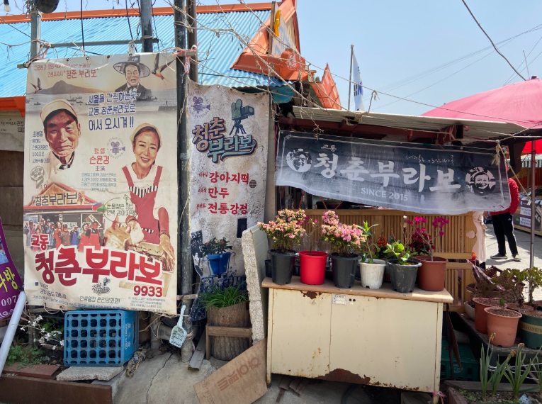 청춘부라보