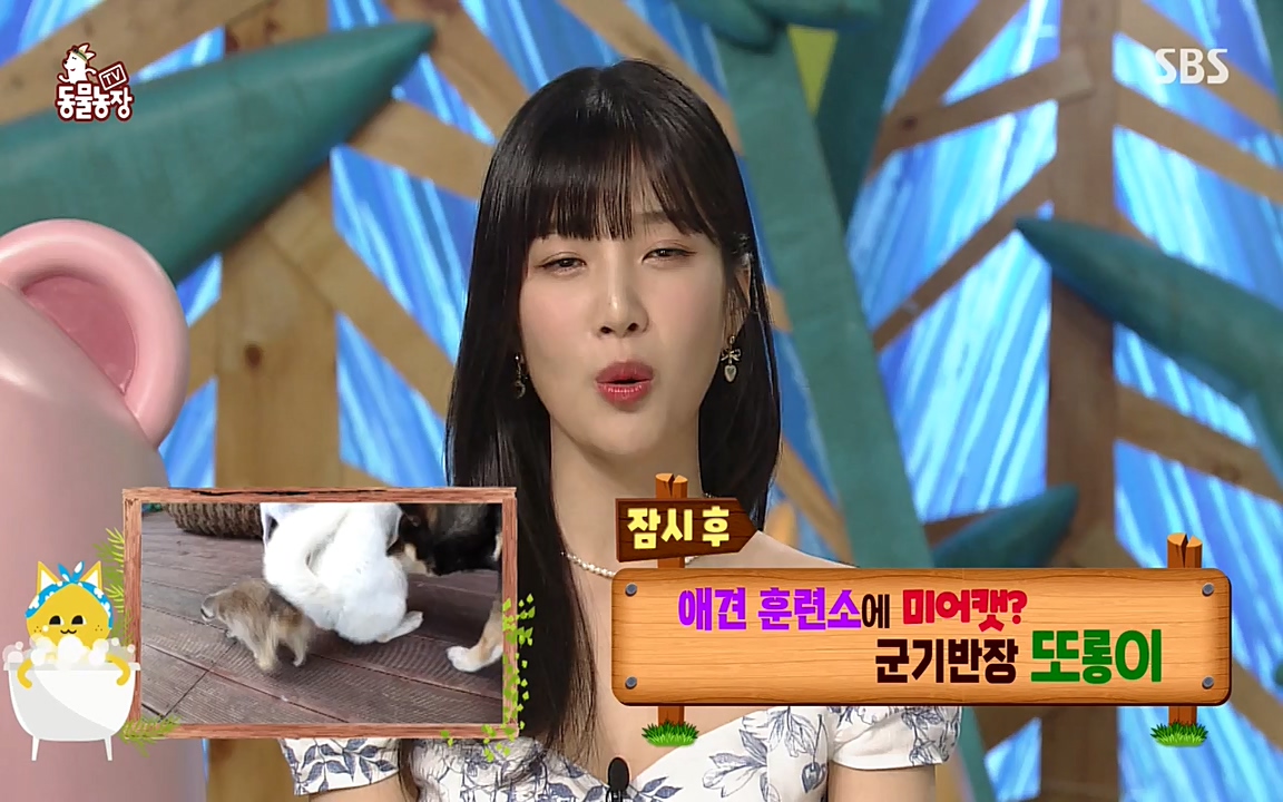 TV 동물농장.E1079.220725p-NEXT.mp4_20220724_151929.666.jpg