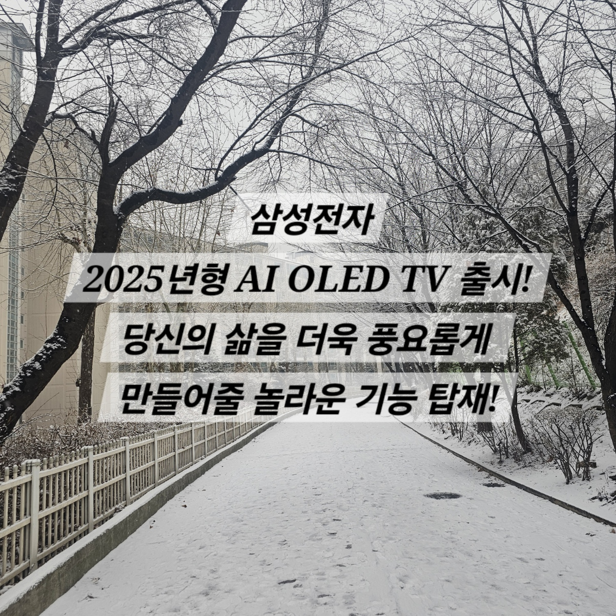 삼성전자, 2025년형 AI OLED TV 출시