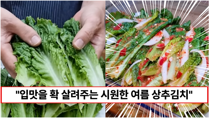 “상추 더이상 쌈으로만 드시지마세요” 저렴한 비용으로 집에서 쉽게 만드는 시원한 상추김치 레시피