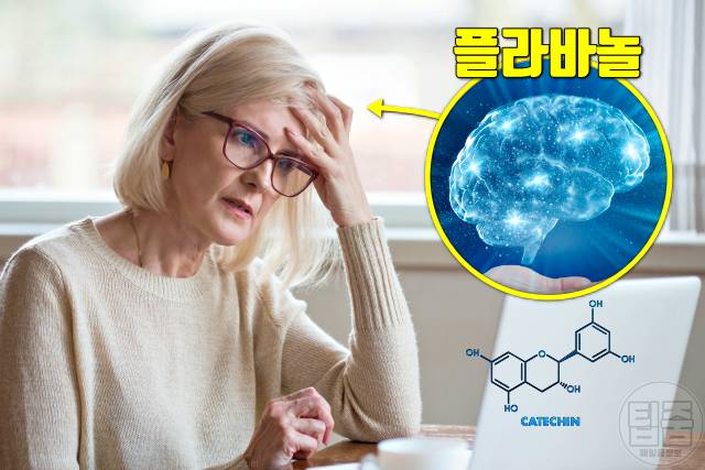 치매에 좋은 음식 치매예방음식 플라바놀 함량 높은