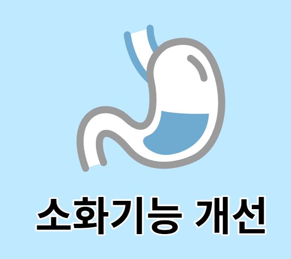 마늘종의 효능 9가지 소화기능 개선