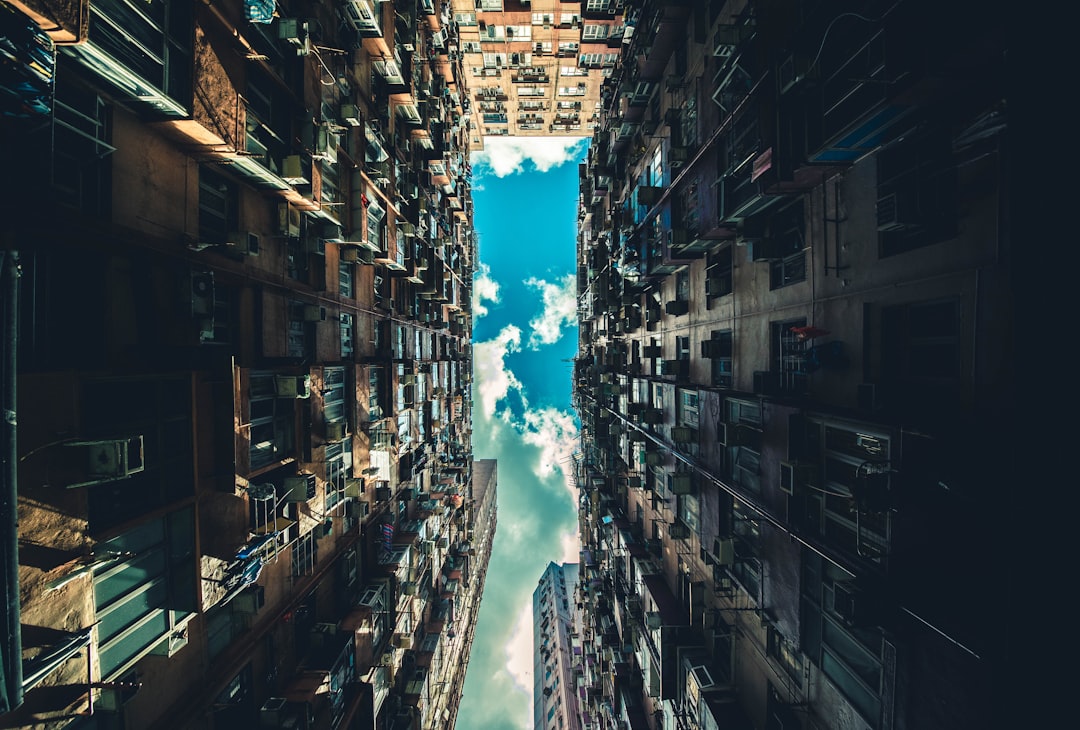 Perspective