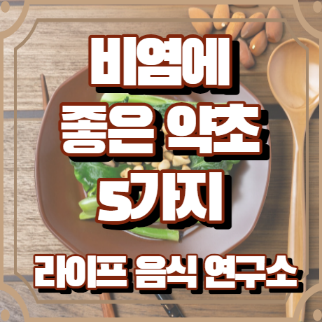 비염에 좋은 약초 5가지