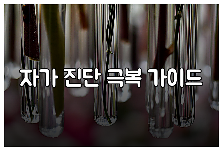 자가 진단 극복 가이드