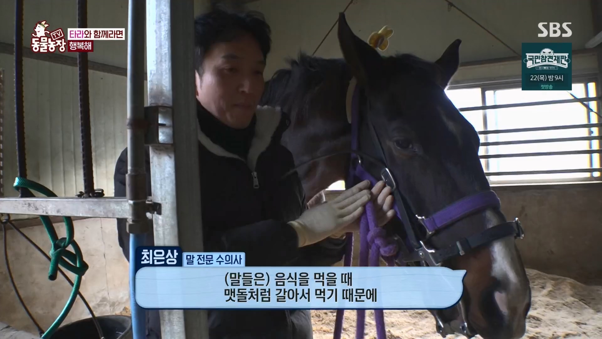 TV 동물농장.E1158.240211p.H264-F1RST.mp4_20240211_194101.666.jpg