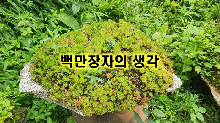 백만장자의 생각