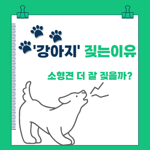  강아지 짖는 이유 (소형견이 더 잘 짖을까?)