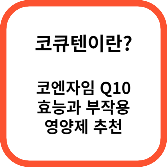 코엔자임 Q10 코큐텐의 효능과 영양제 알아보기